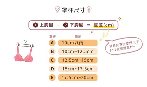 三圍意思|三圍:三圍在人體量度上是指胸圍 (上圍)、腰圍和臀圍 (下圍)。